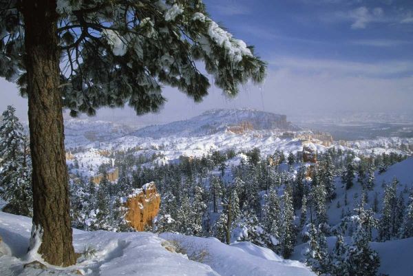 USA, Utah, Bryce Canyon in Winter